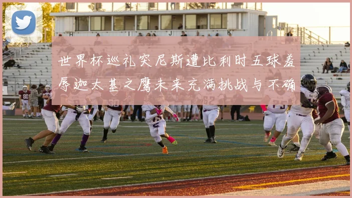 世界杯巡礼突尼斯遭比利时五球羞辱迦太基之鹰未来充满挑战与不确定性