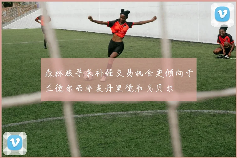 森林狼寻求补强交易机会更倾向于兰德尔而非麦丹里德和戈贝尔